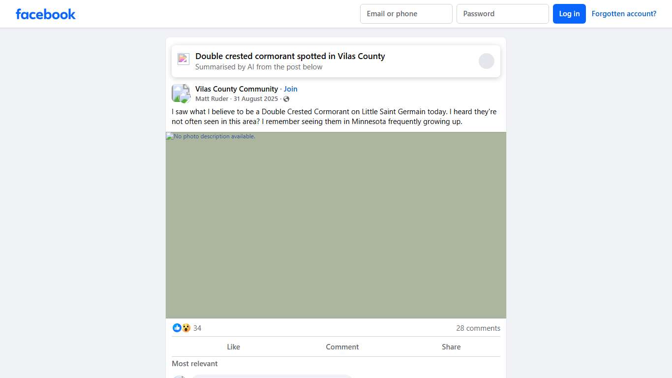 Vilas County Community | I saw what I believe to be a Double Crested Cormorant on Little Saint Germain today | Facebook